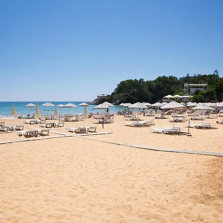 아파트 Art Life 알란야